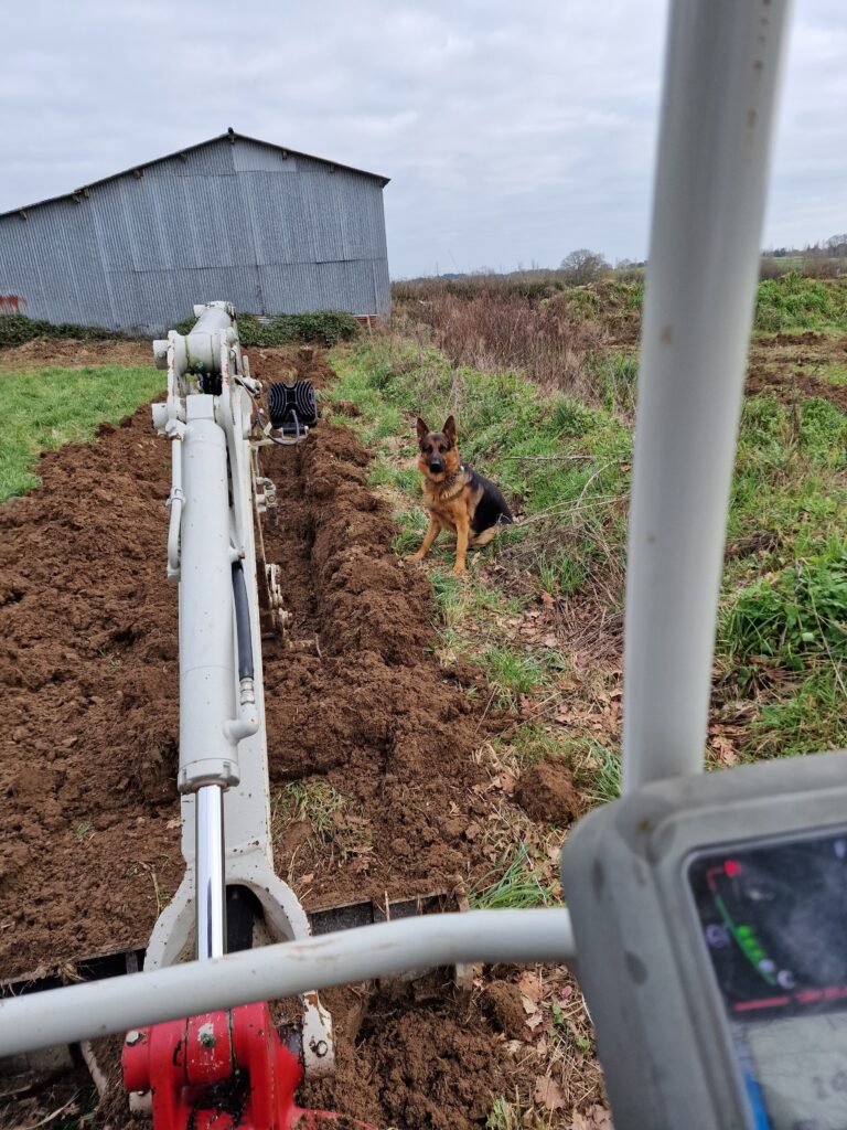 Création d'un parking Avant