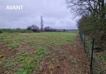 Installation d'une pension canine Avant